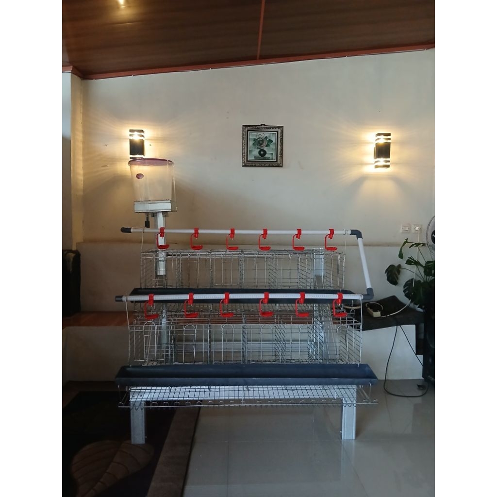 Kandang Batrei Ayam Petelur Kapasitas 12 ekor