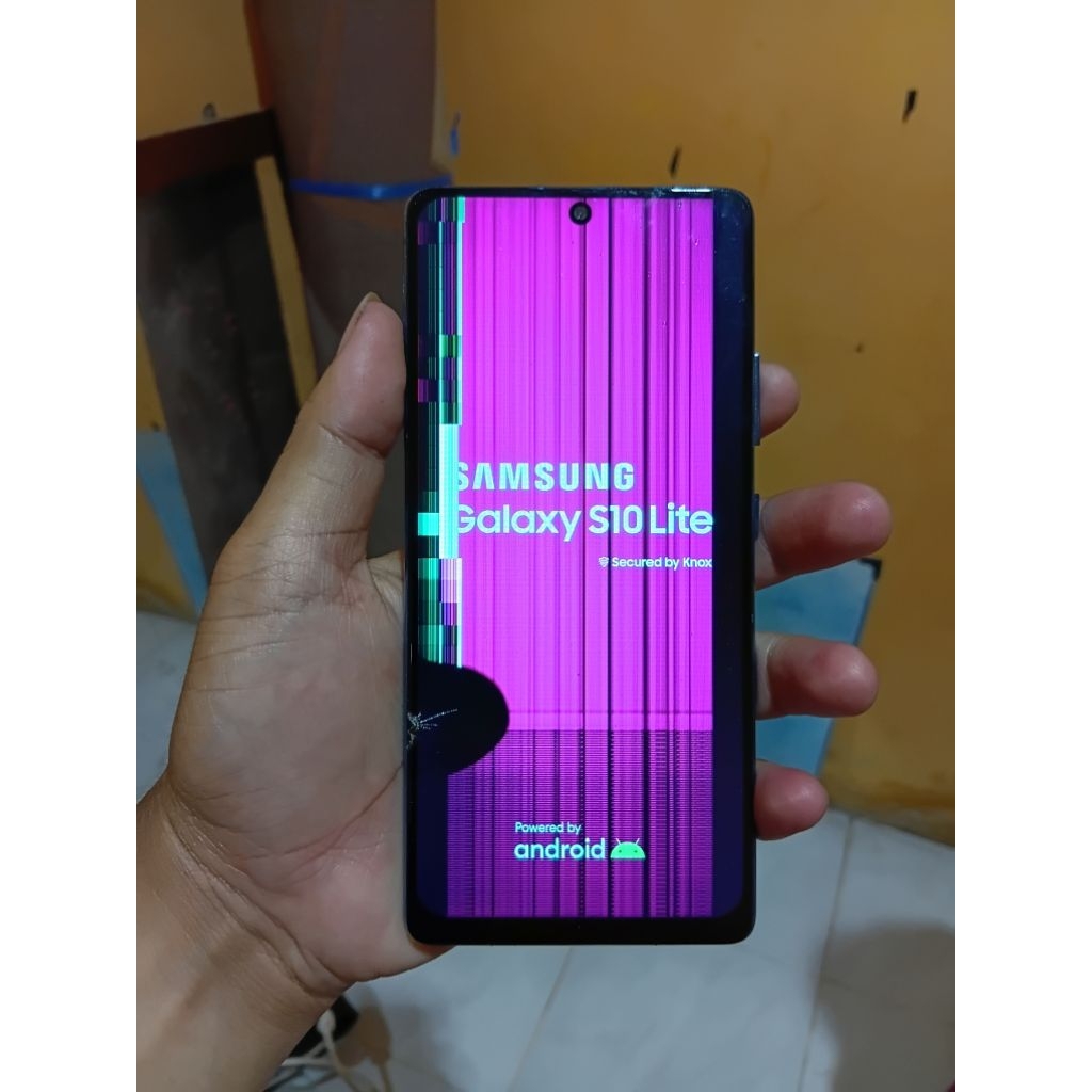 Samsung S10 lite minus LCD