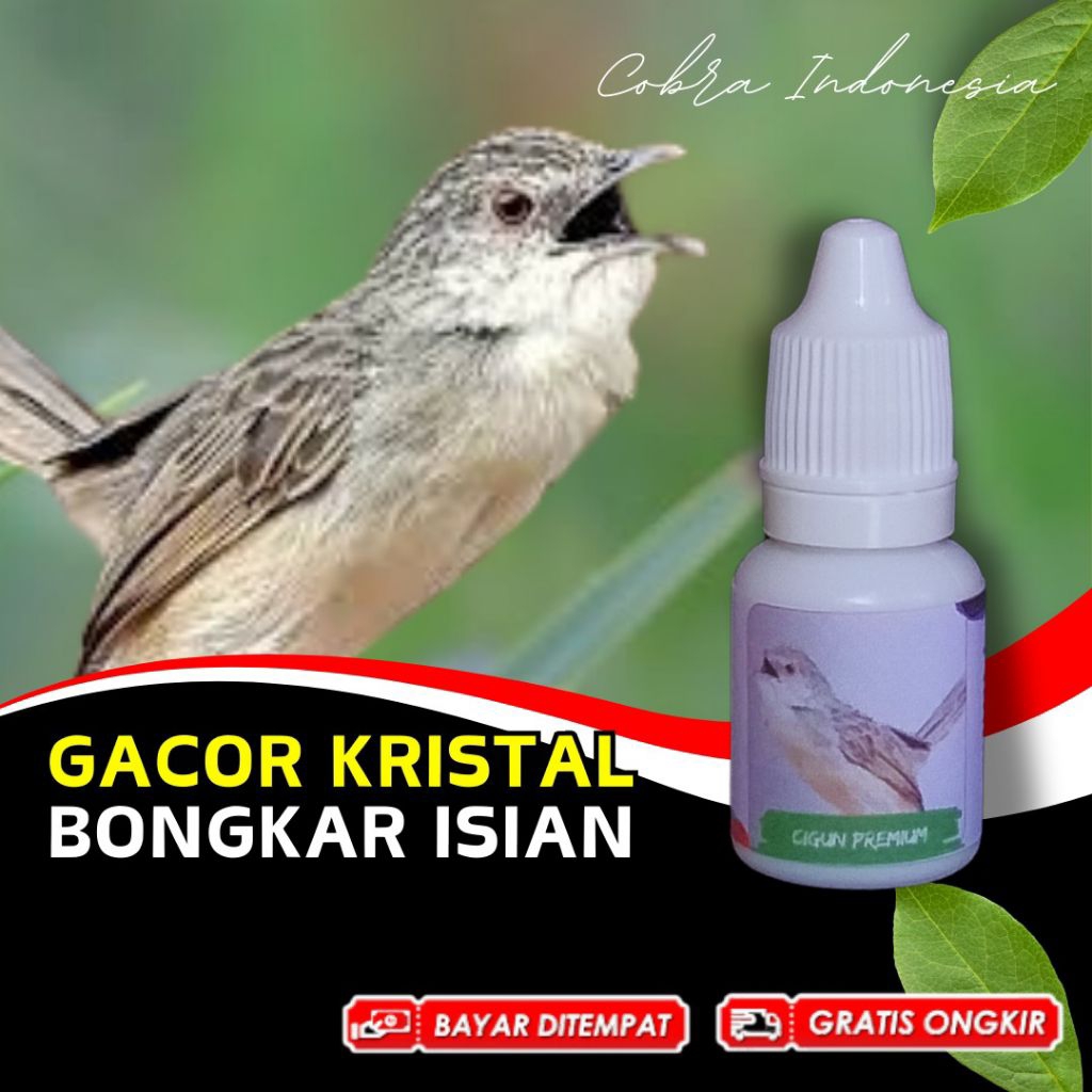 Vitamin Burung Cigun Ciblek Gunung