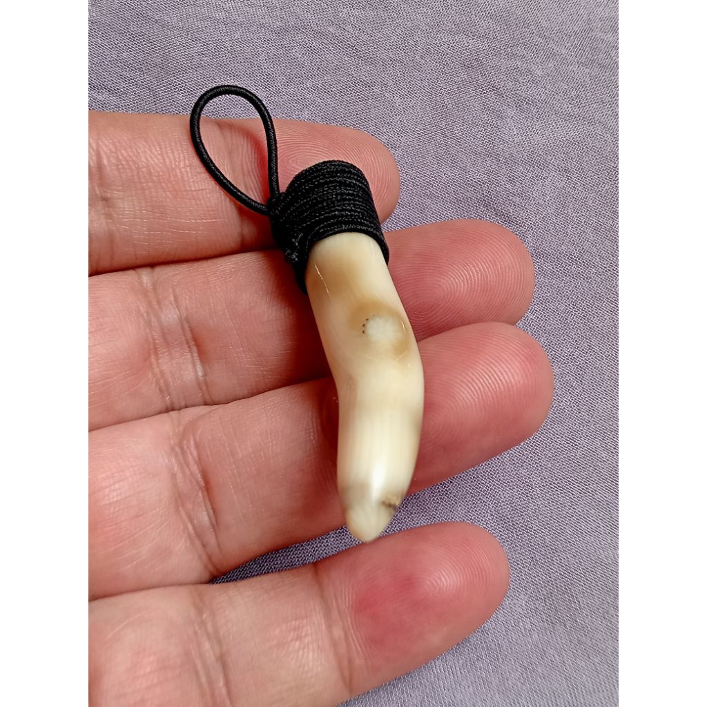 Liontin Lawas Akar Bahar Putih Motif Taring Mantappp