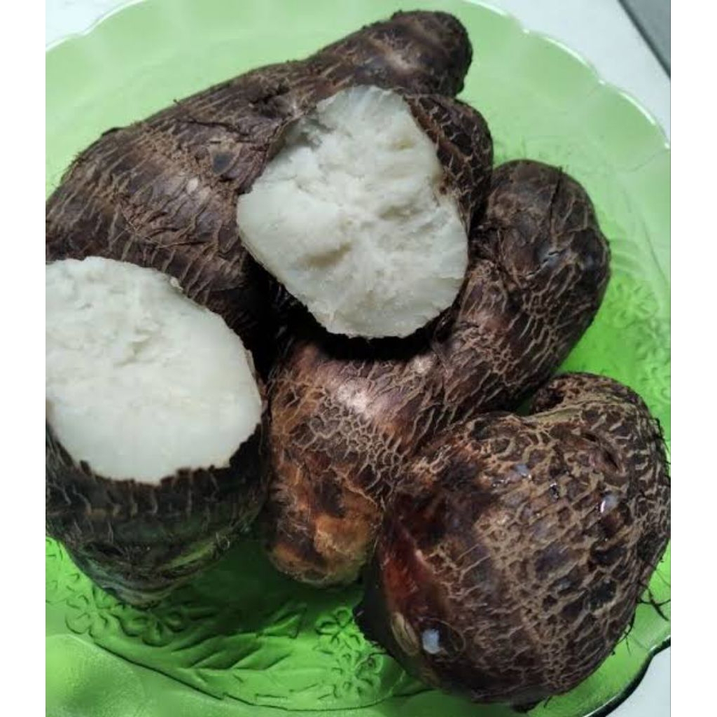 TALAS KIMPUL MBOTE SEGAR 1KG