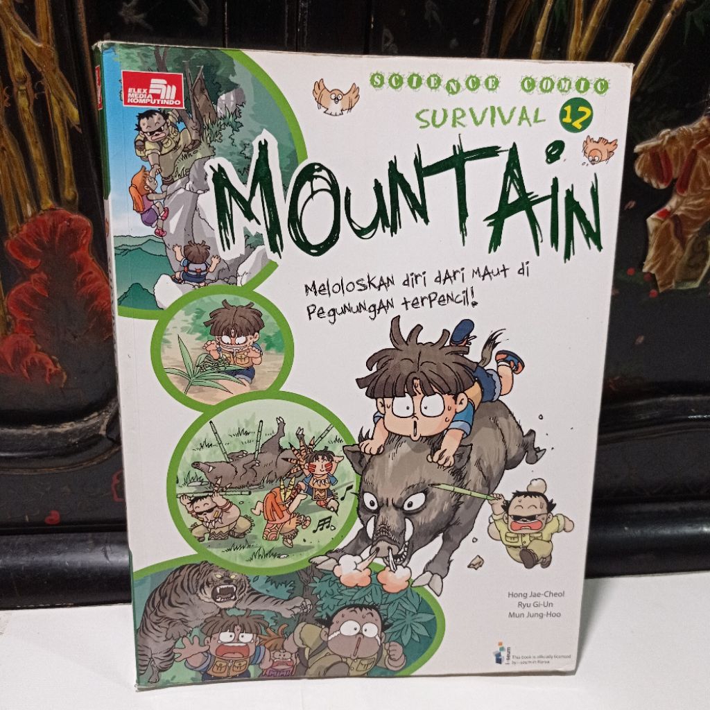 science comic : survival 12 - mountain