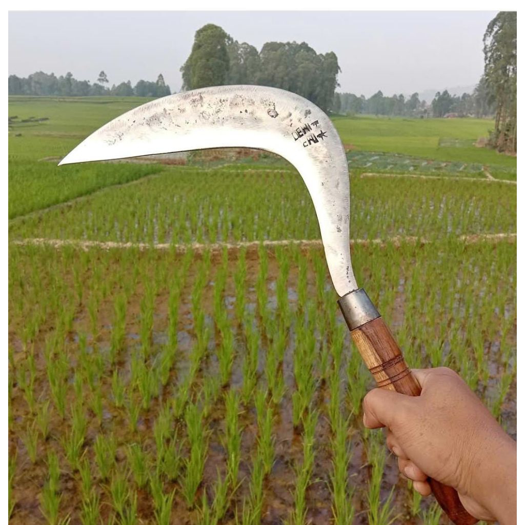 arit atau pengaritan rumput full baja model jawa higt quality