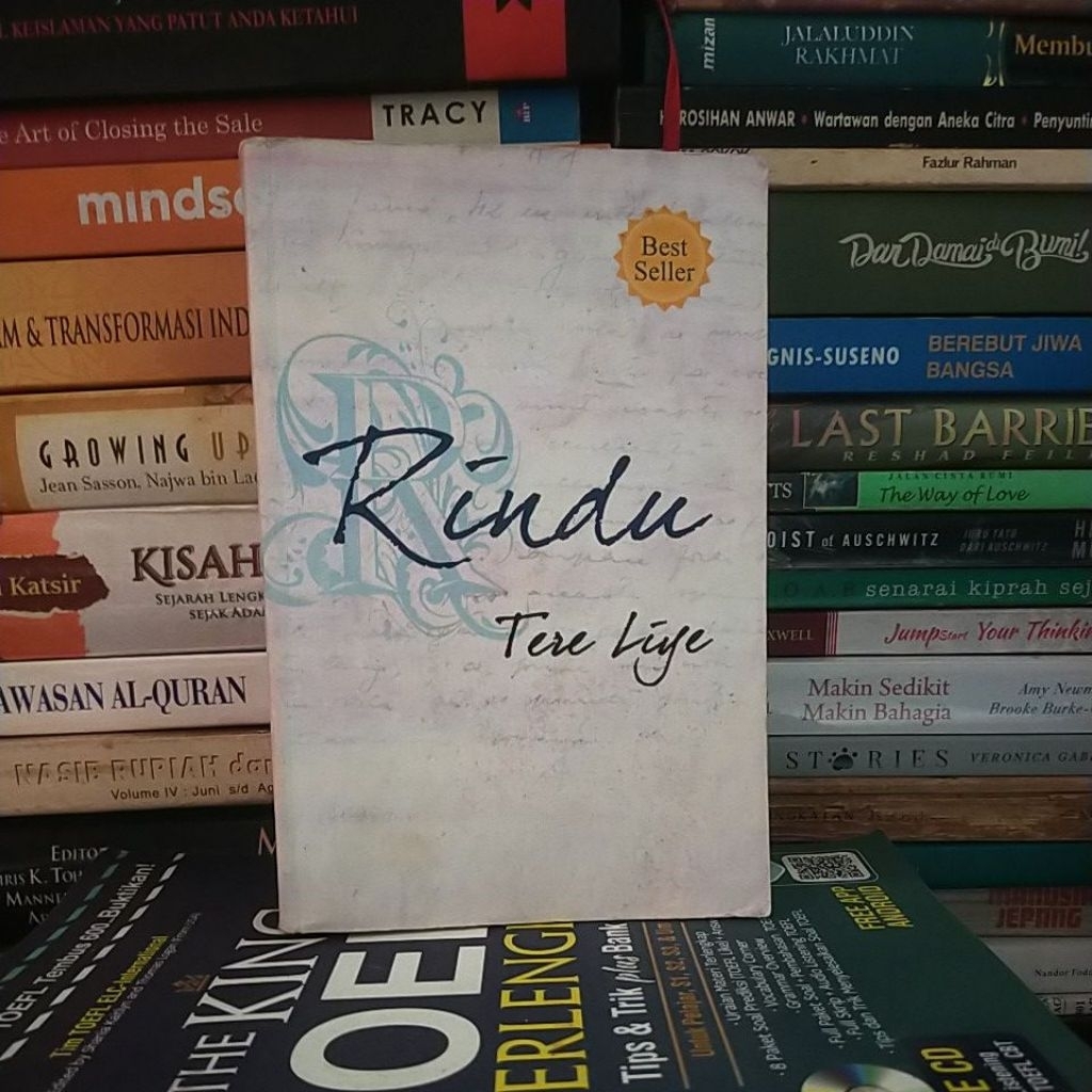 RINDU - TERELIYE