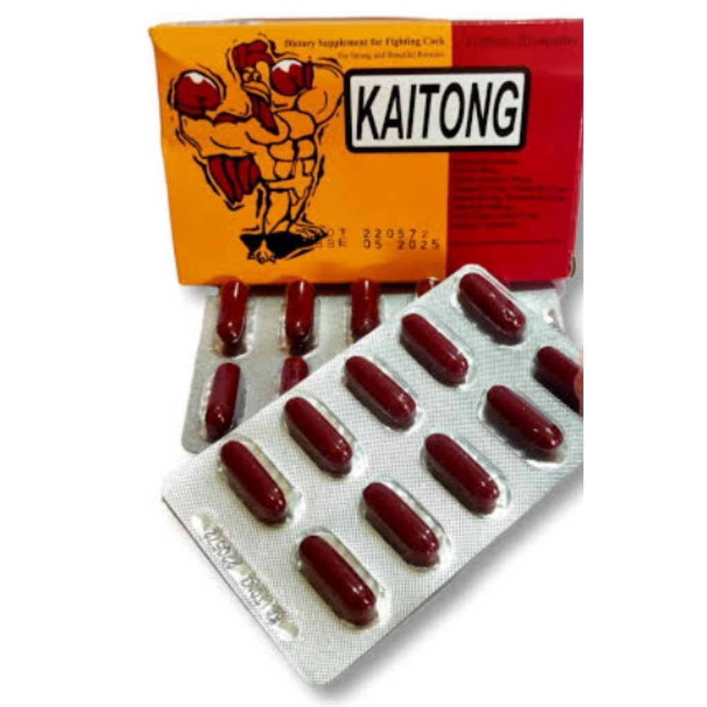 Kaitong suplemen doping ayam adu