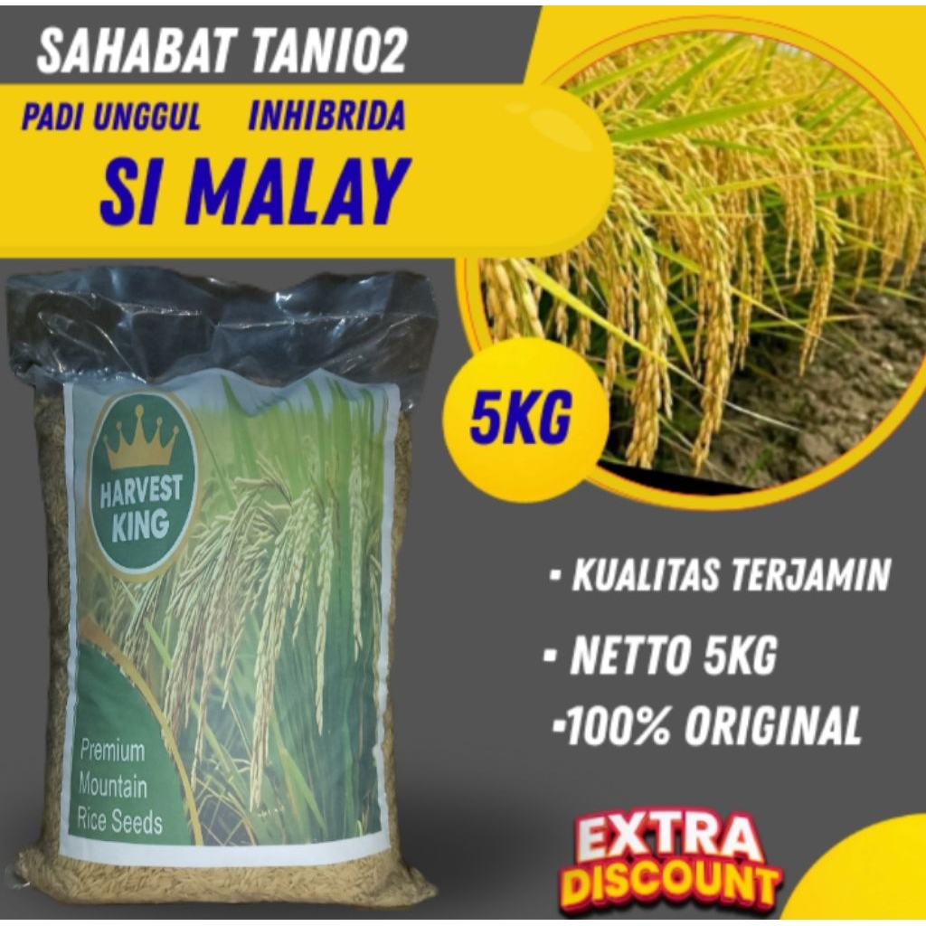 benih padi unggu si Malay kualitas original kemasan 5kg original