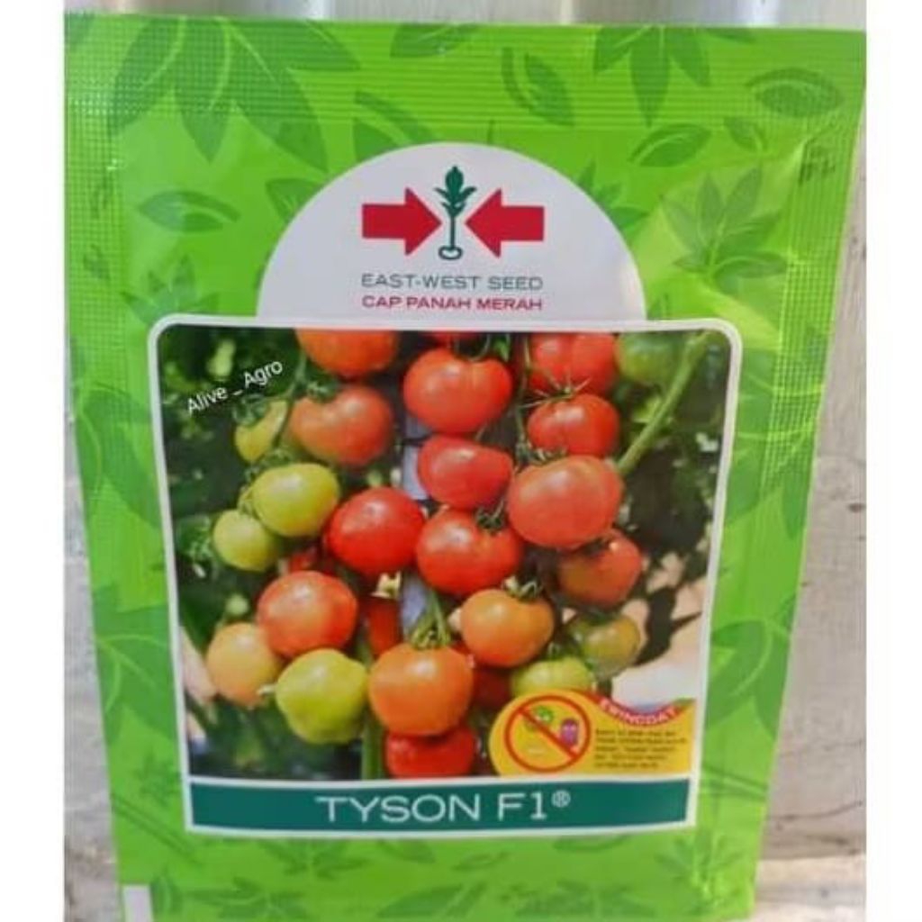 Benih Tomat Tyson F1 1.750 Butir