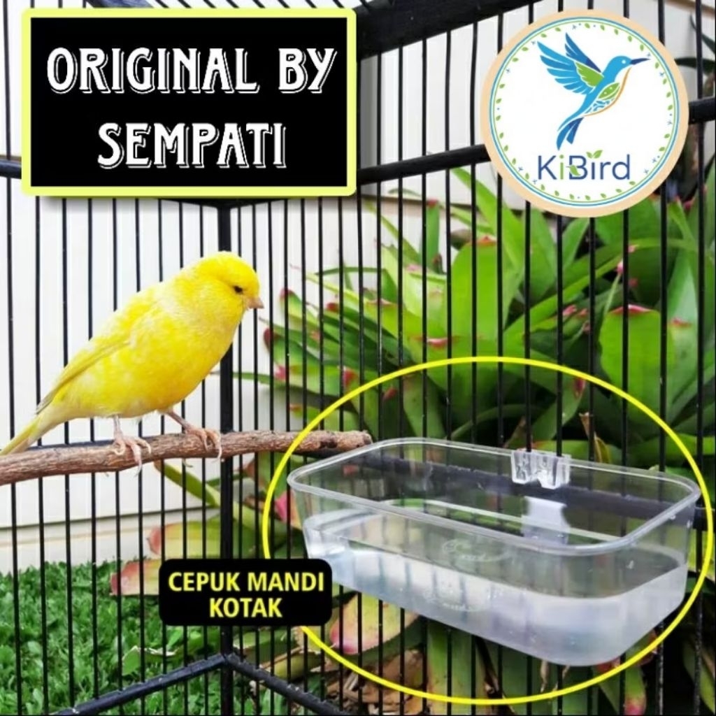 CEPUK MANDI SEMPATI BURUNG TEMPAT MAKAN MINUM LOVEBIRD