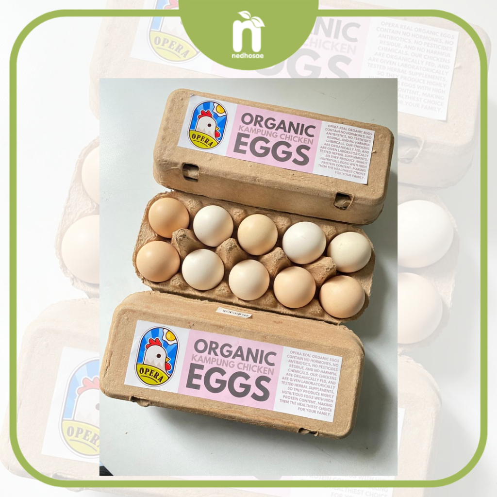 TELUR AYAM KAMPUNG ORGANIK OPERA | TELUR AYAM BROILER ORGANIK | TELUR AYAM NEGERI ORGANIK OPERA