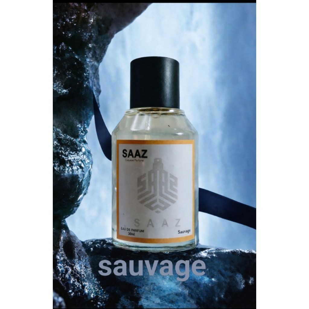 sauvage parfum pria elegan