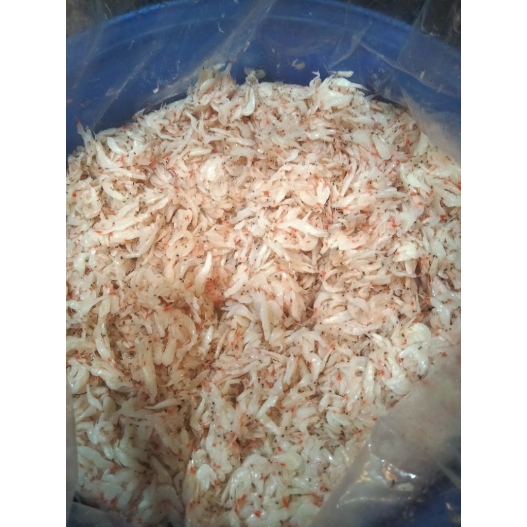 Hakoi/Hekoi/Kecalok/Cincalok Udang Pontianak 1kg