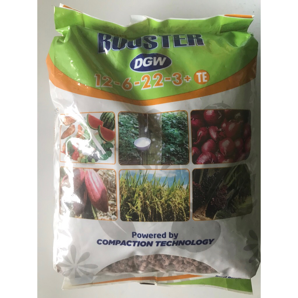 NPK DGW Booster 1 kg (Pupuk Buah)