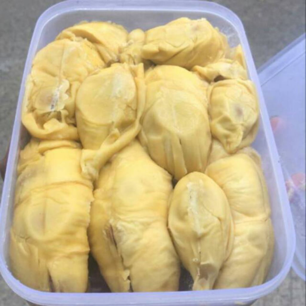 DURIAN MONTONG KUPAS 500KG/ ASLI PEKALONGAN