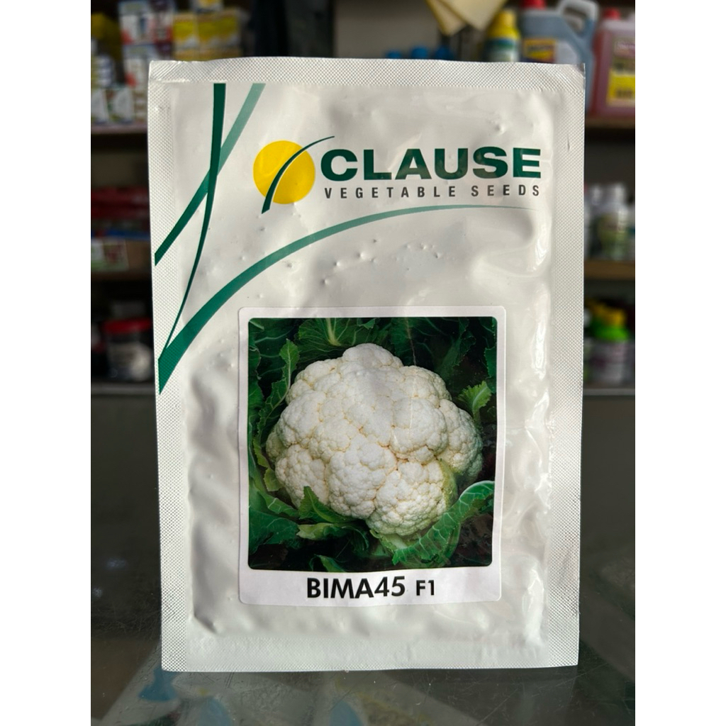 BIMA 45 F1 10 GR Clause Benih/Bibit Bunga Kol/Kembang Hijau Putih Hidroponik