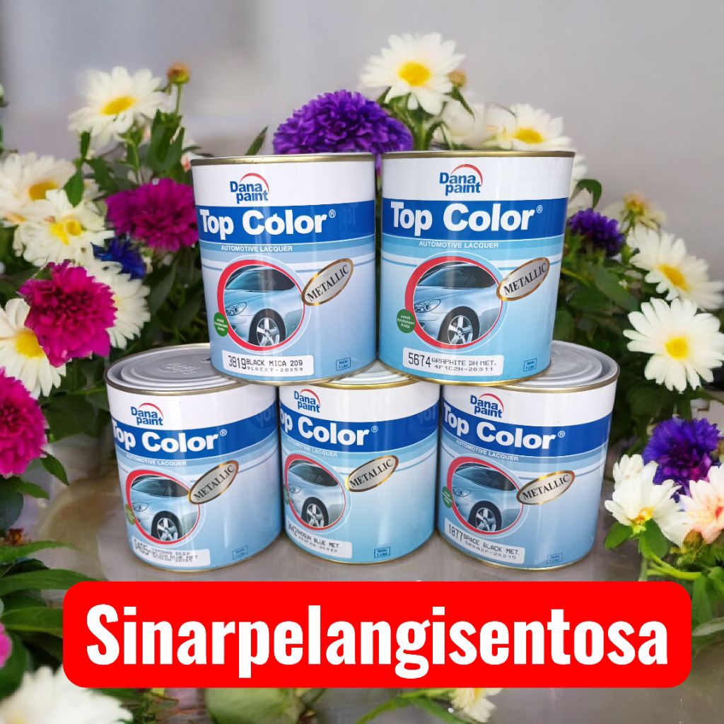 top color metallic danapaint 1 kg