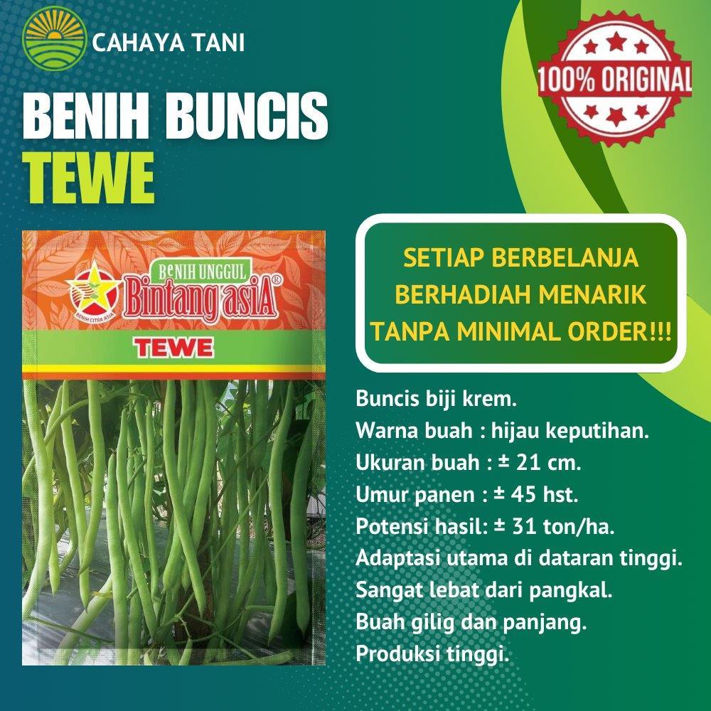 Benih Buncis TEWE 500gram Bintang Asia