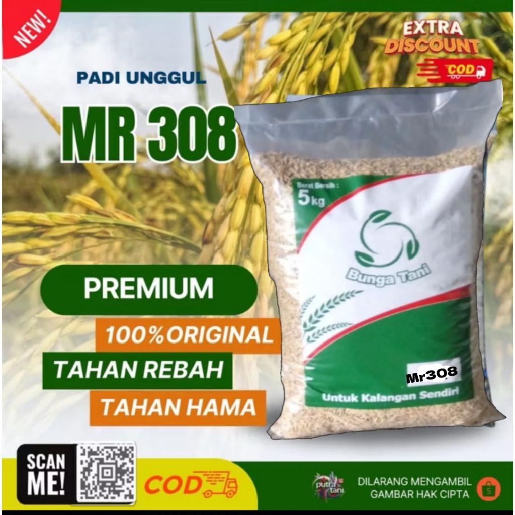 BENIH PADI New MR308 5KG