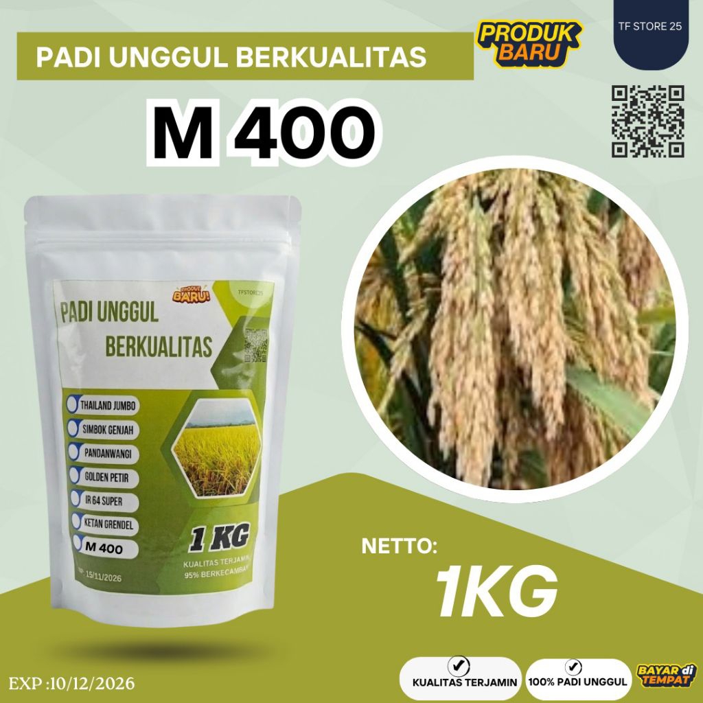 BENIH PADI M400 KEMASAN 1 KG 100%ASLI