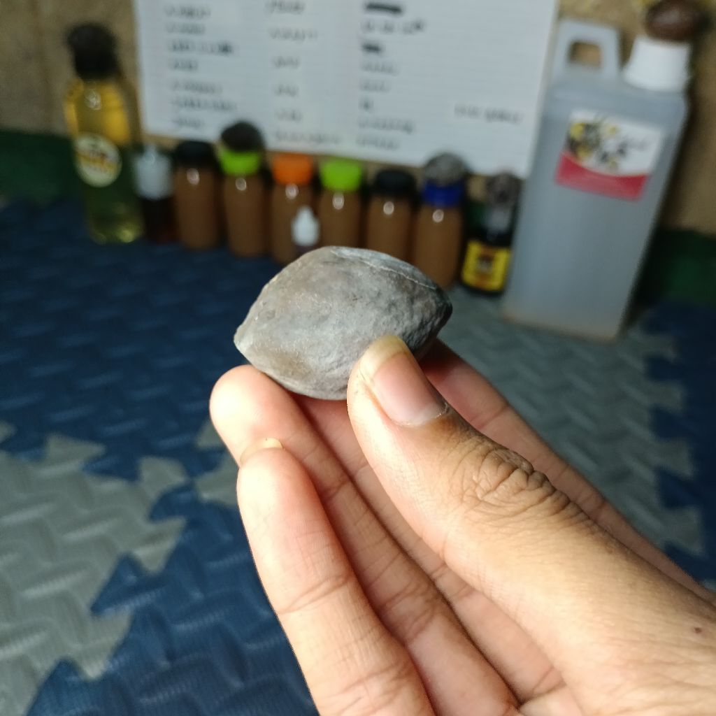 muncang adu a.arin original malangbong full cuka