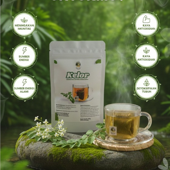 TEH DAUN KELOR 100% MURNI TEH DAUN KELOR CELUP MORINGA ORIGINAL