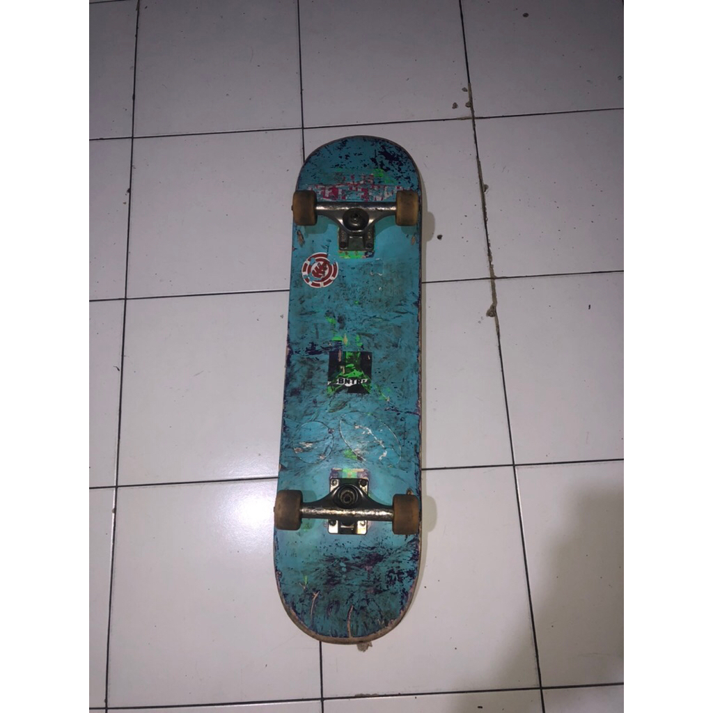 skateboard dewasa