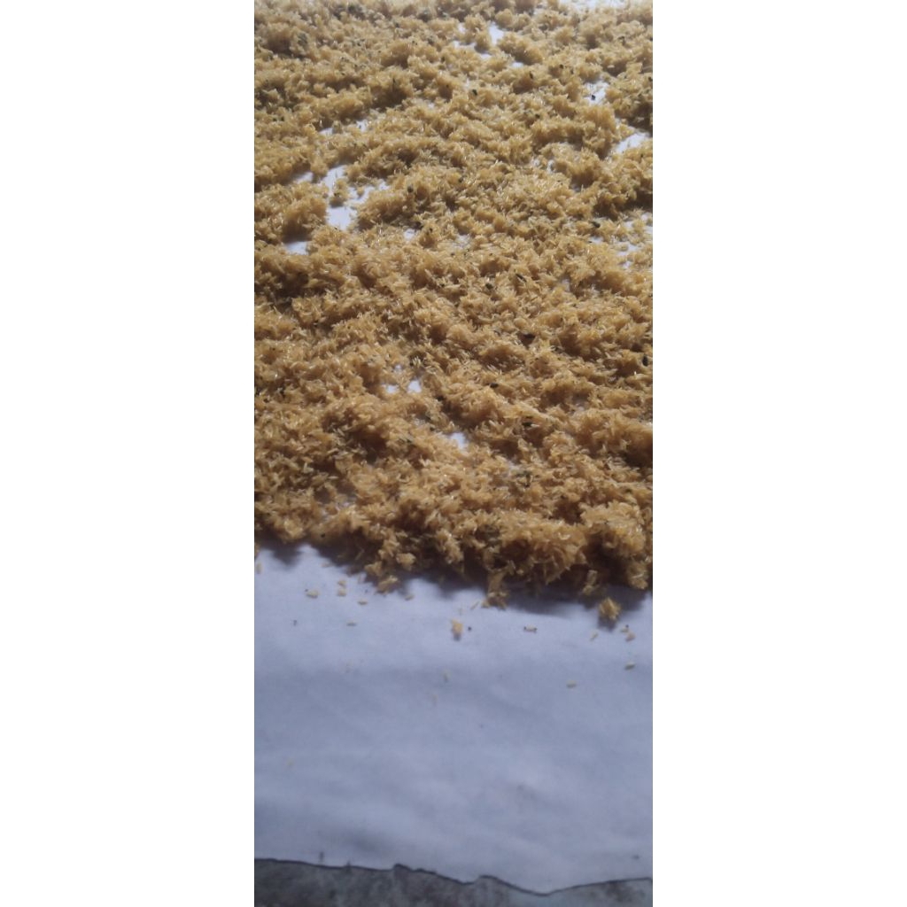 Telur jangkrik kalung / genggong (kaliong)