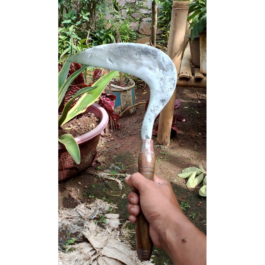 Arit/Sabit Rumput Original  Sipuhan Baja Cap Sinar Asli Garut Gagang Kayu Sonokeling