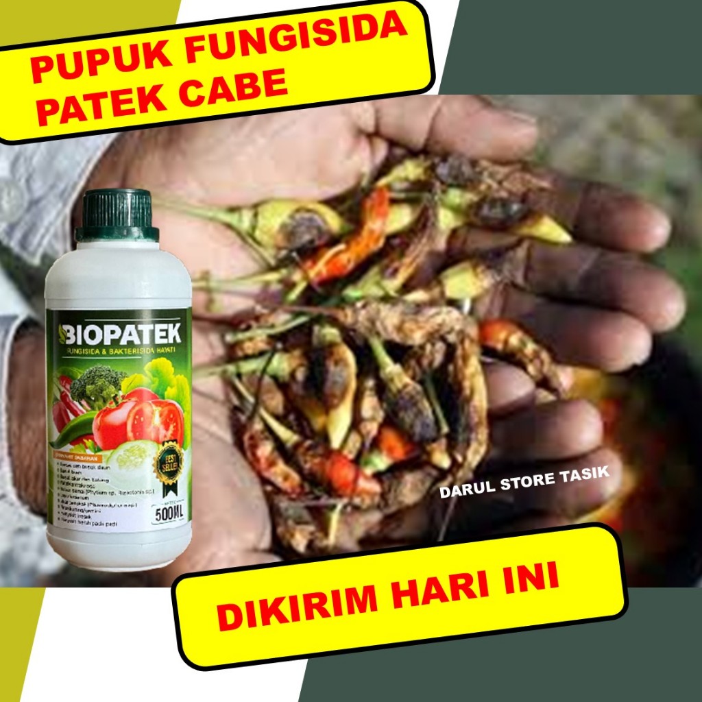 OBAT HAMA PATEK CABE ALAMI > OBAT PATEK CABE AMPUH > OBAT PATEK CABE ORGANIK - BIOPATEK ASLI ORIGINA