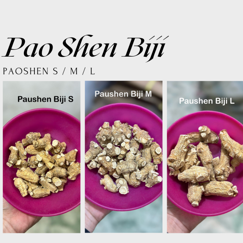 Pao shen biji / Pao shen utuh / Yo som pian / Ginseng / Pao shen belom potong / Whole ginseng / Ren 
