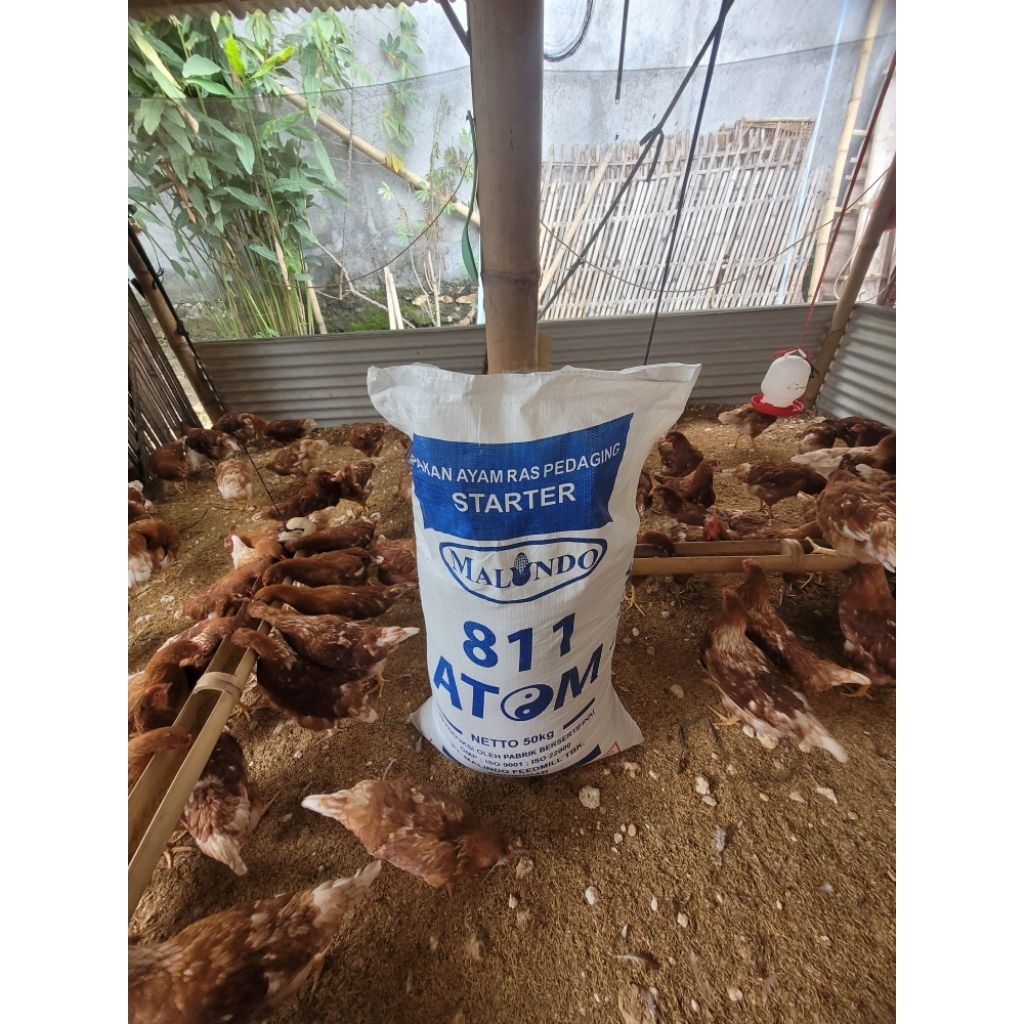 pakan ayam grower malindo 811 Atom protein 20%