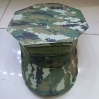 Topi Pet Okinawa Sage Green