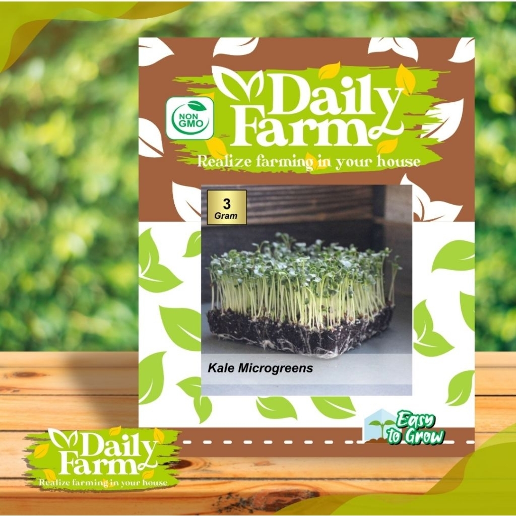 Benih Sayur Kale Microgreen - Microgreen Kale - Daily Farm