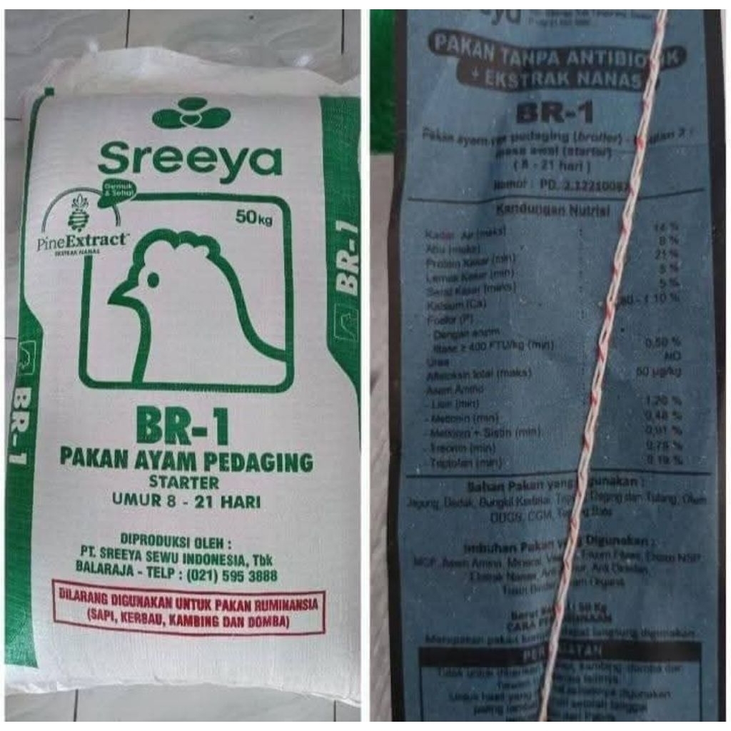 1KG Pur Anak ayam Br1 sreeya