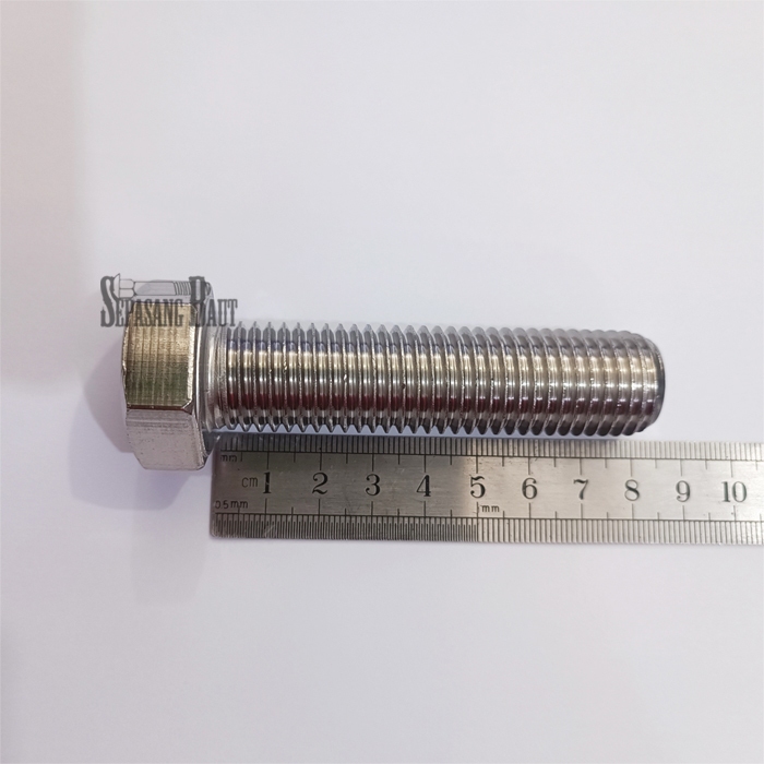 M20 x 80 Baut Hexagon Stainless Steel 304 M20x80