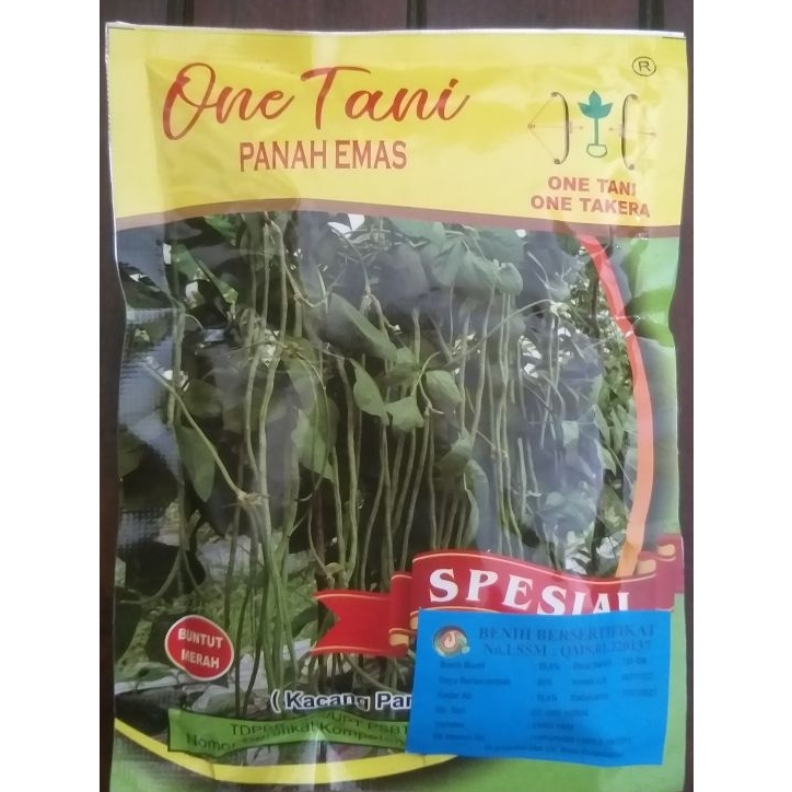 Bibit Unggul Kacang Panjang Varietas SPECIAL