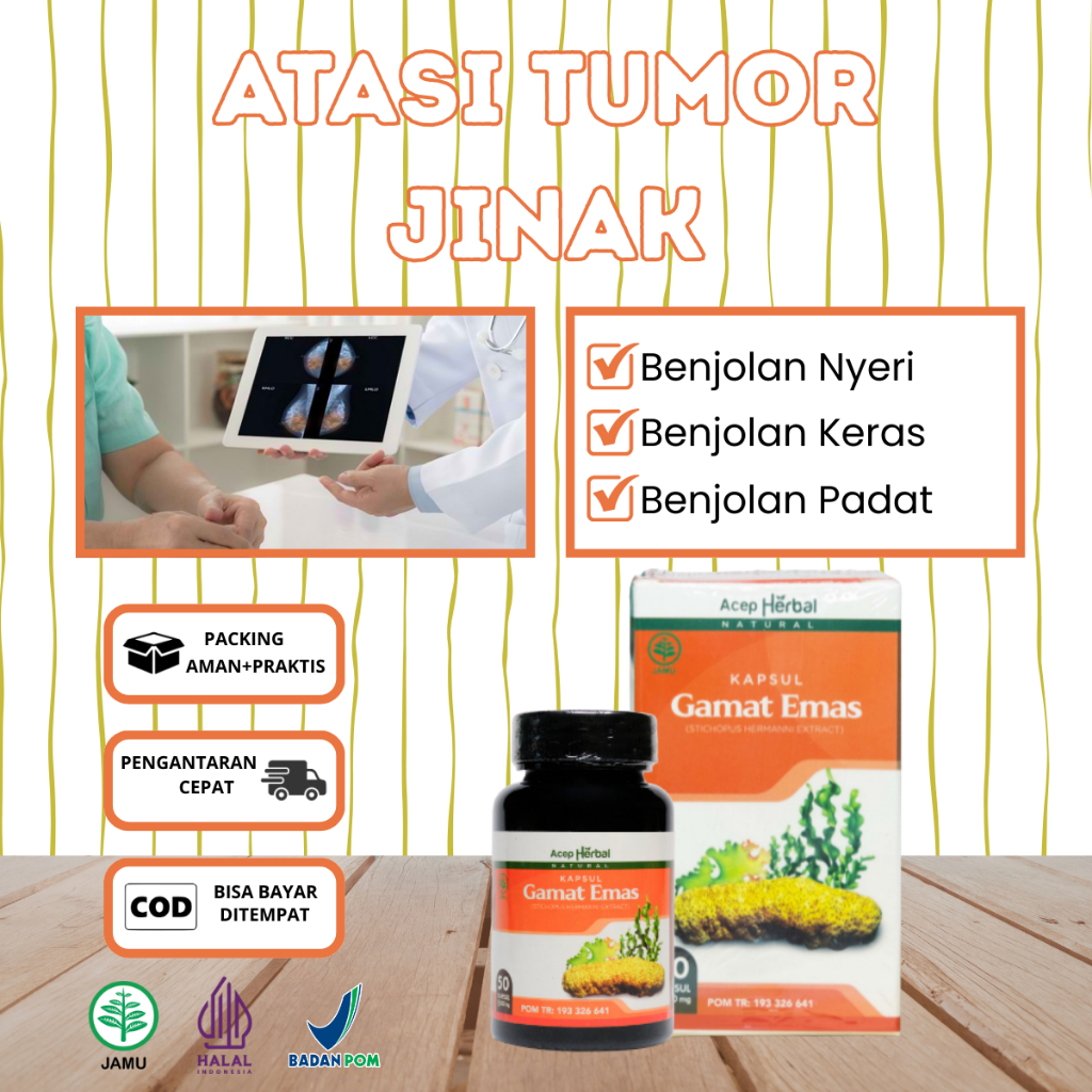 Obat Untuk Benjolan Tumor Jinak, Mencegah Tumor Jinak Menyebar, Benjolan Keras & Padat-Kapsul Gamat 