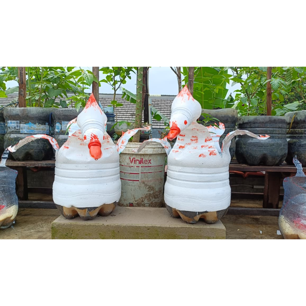 POT ANGSA BEBEK (HANYA POT)