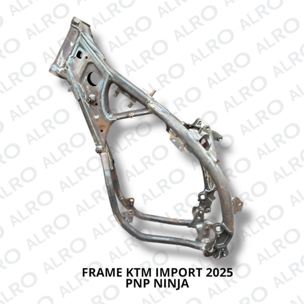 frame ktm import 2025 pnp ninja