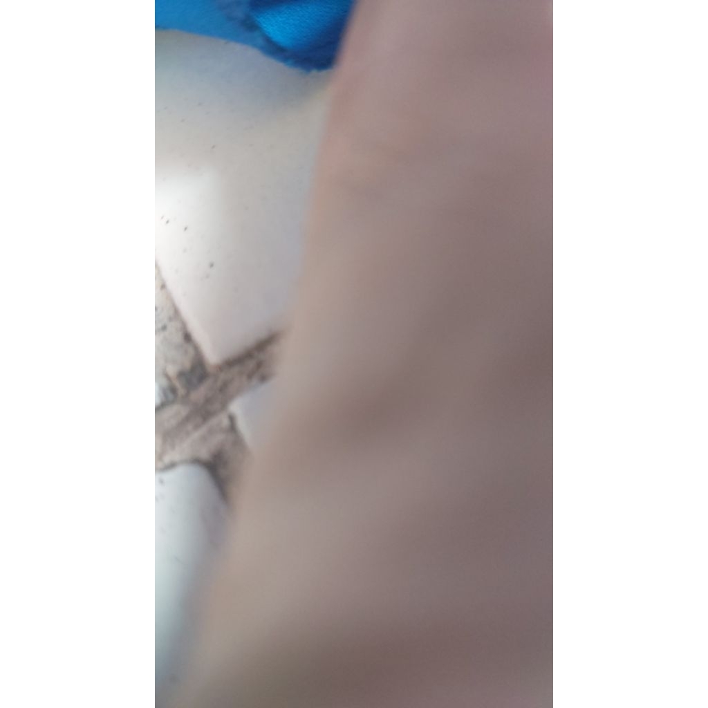 Link Co Tas Jim's Honey