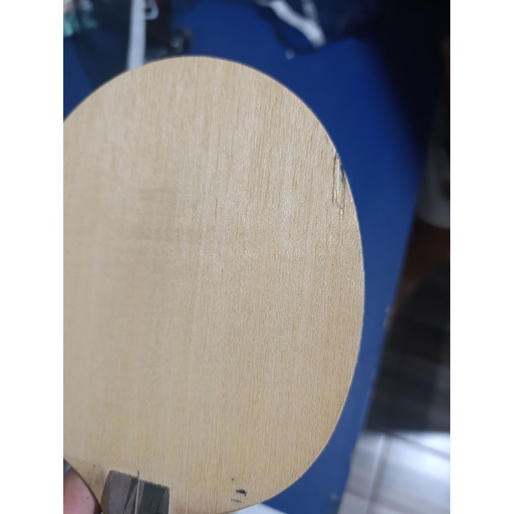 Bet Pingpong DHS PG6X Carbon ALC