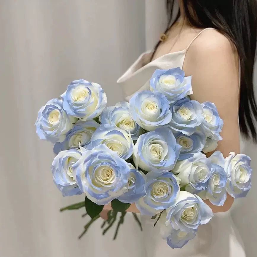 SUPPLYFLORIST - BUNGA MAWAR ARTIFICIAL BIRU PASTEL 1 TANGKAI | FAKE ROSE UNTUK DEKORASI/BOUQET/VAS/H