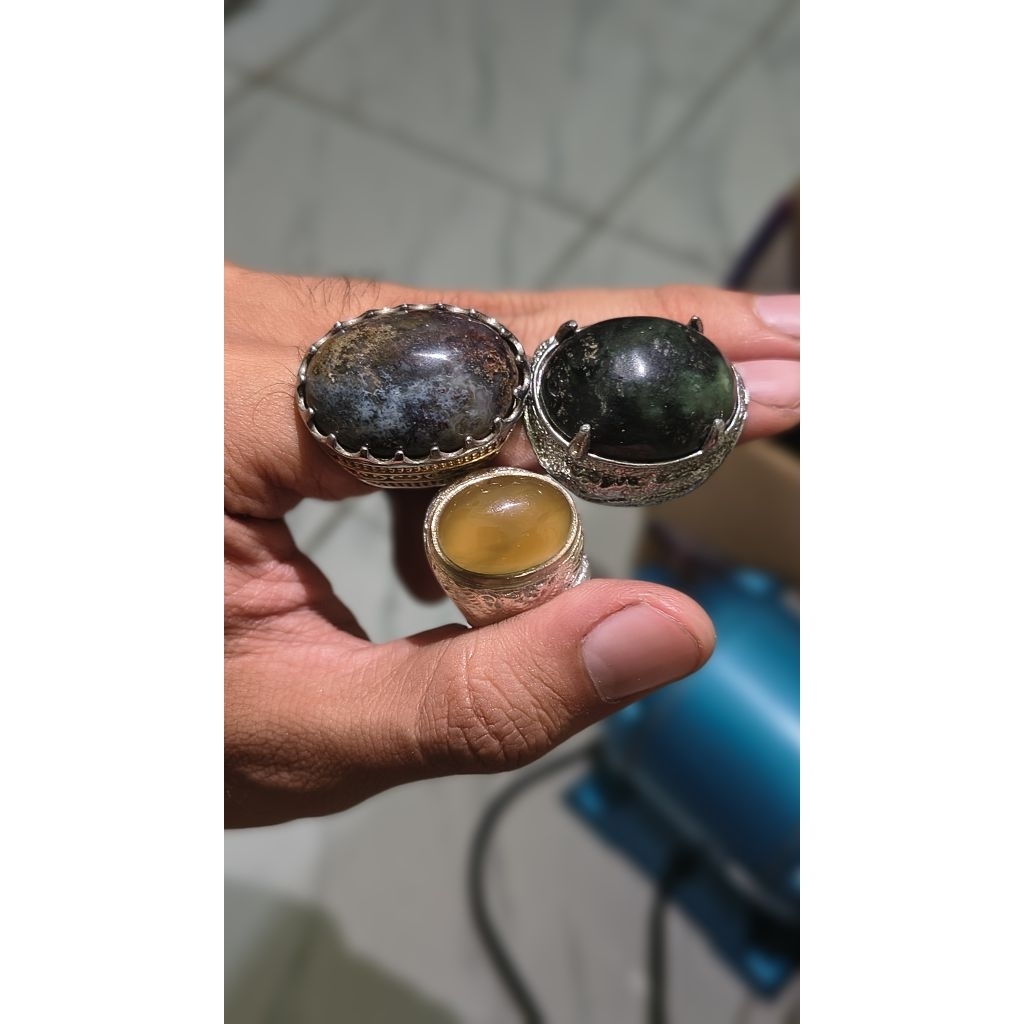 Borongan Solar Aceh, Badar Besi Hijau dan Pancawarna Lumut