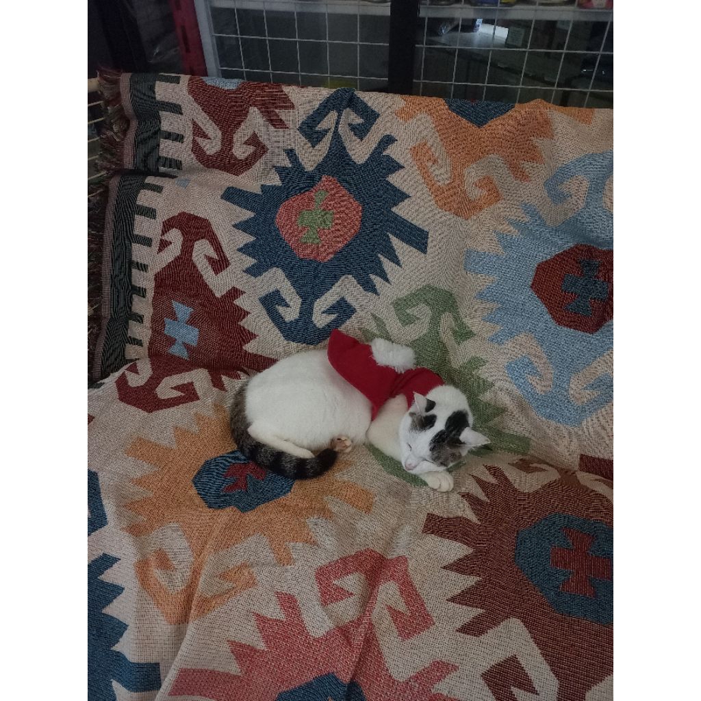 photobook joss gawin