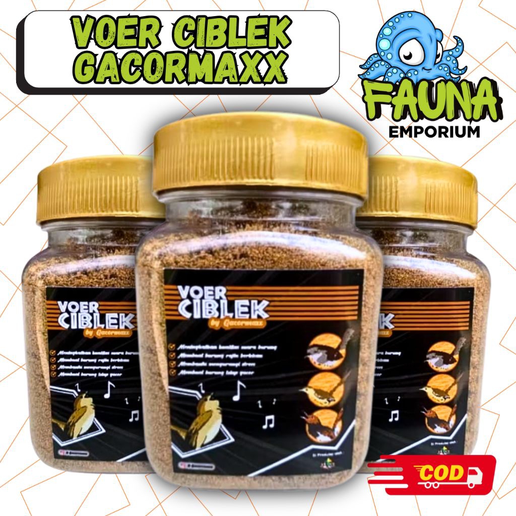 Voer Ciblek GacorMaxx Pakan Halus Burung Prenjak Ciblek