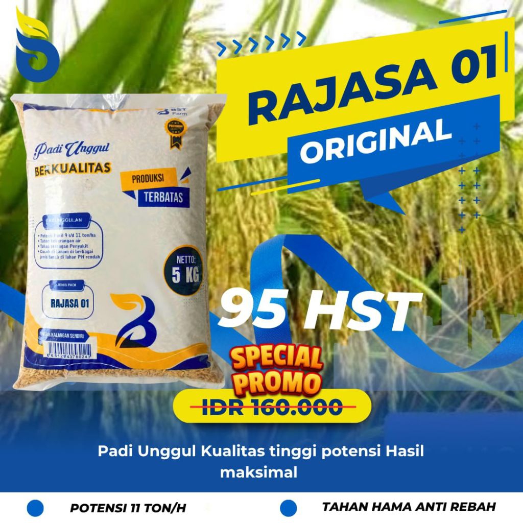 Benih padi unggul Rajasa original 5kg