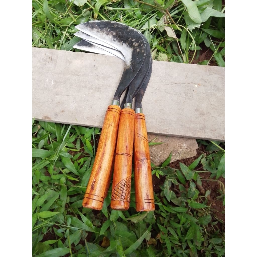 arit rumput baja per