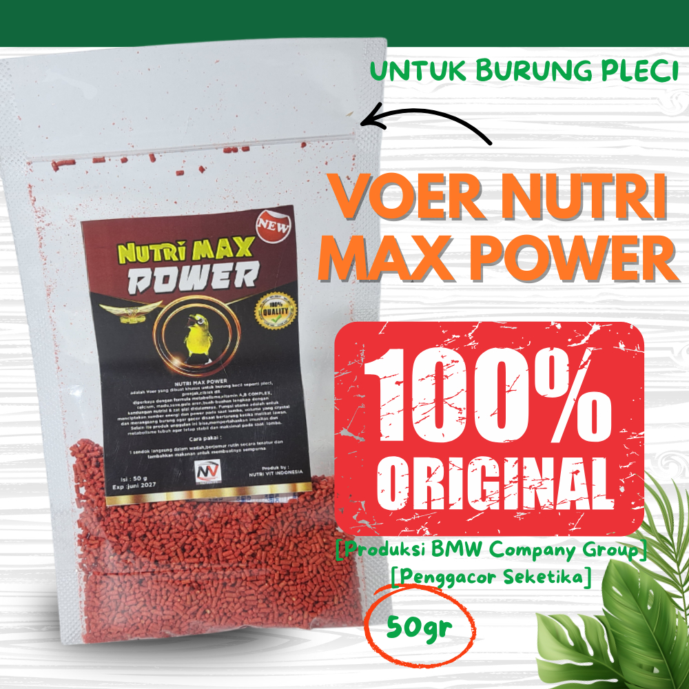 Nutri Max Power Voer Burung Pleci menciptakan sumber energi power volume yang mengkristal gacor