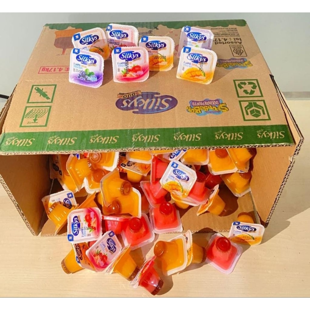 Puding Silkys Duo