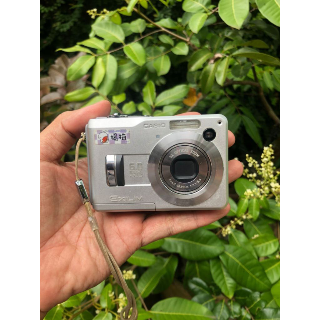 Casio Exilim EX Z110