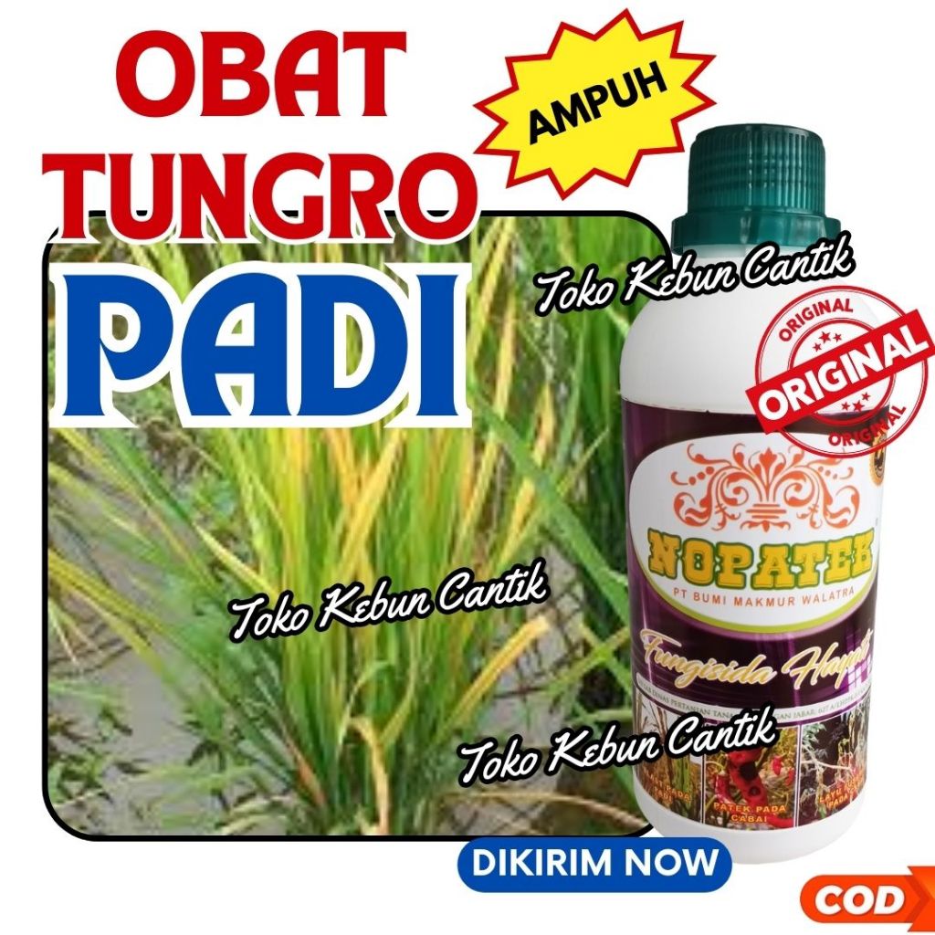 NOPATEK Fungisida Hayati 500ml Obat Jamur dan Penyakit Padi
